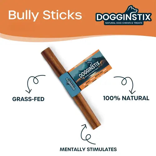 Dogginstix - 12" Standard Bully Sticks