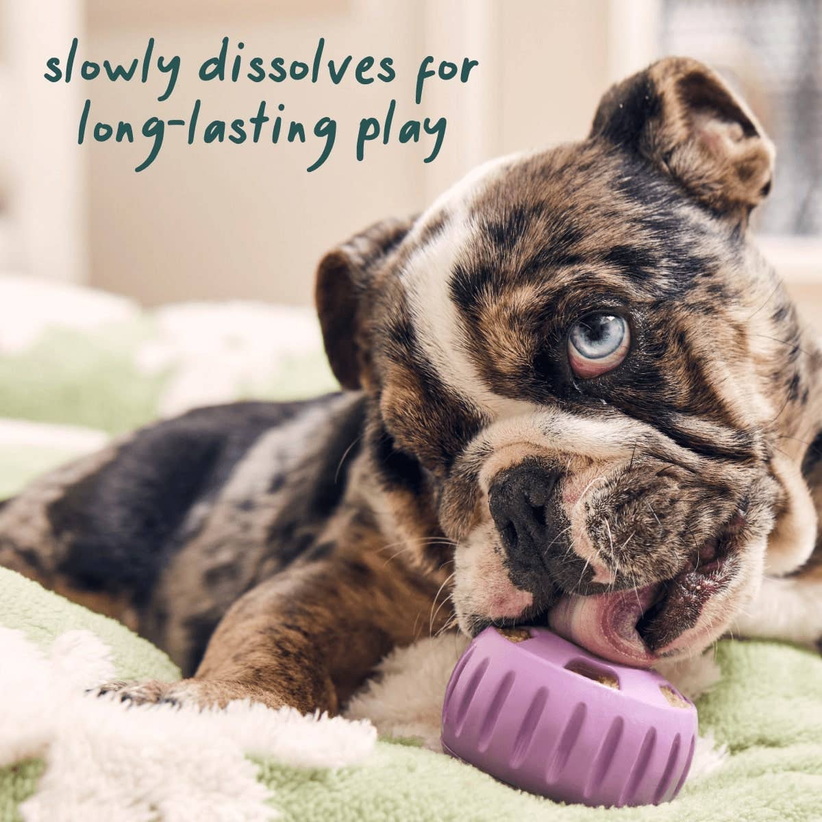 Woof - Calming Wellness Pops