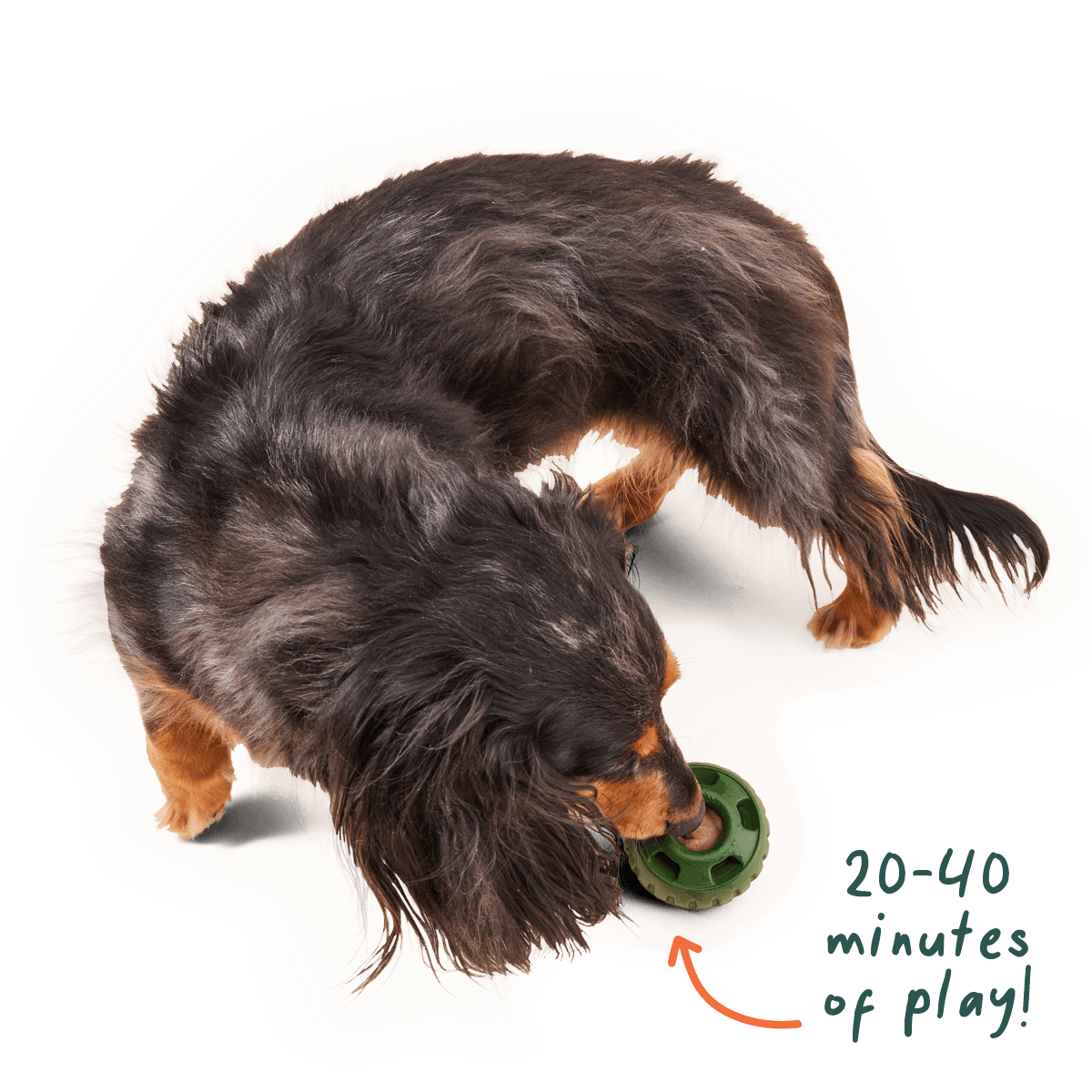 Woof - Pupsicle Pops