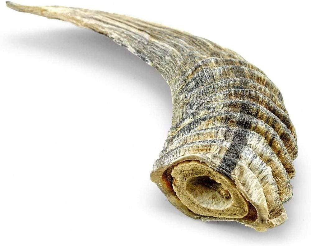 Lamb Horn Dog Chew Treat