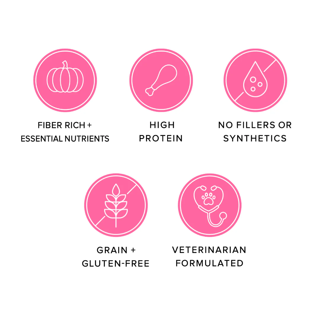 Jojo Modern Pets - Ava's Pet Palace Freeze Dried Dog Treats - Turkey Poppers