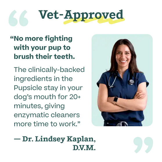 Woof - Pupsicle Mix- Doggy Dental