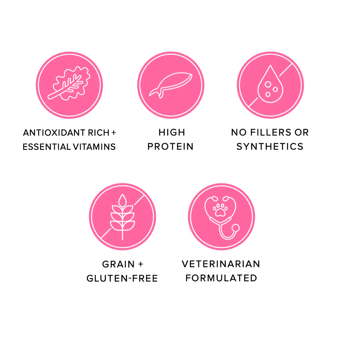 Jojo Modern Pets - Ava's Pet Palace Freeze Dried Dog Treats - Salmon Puffs