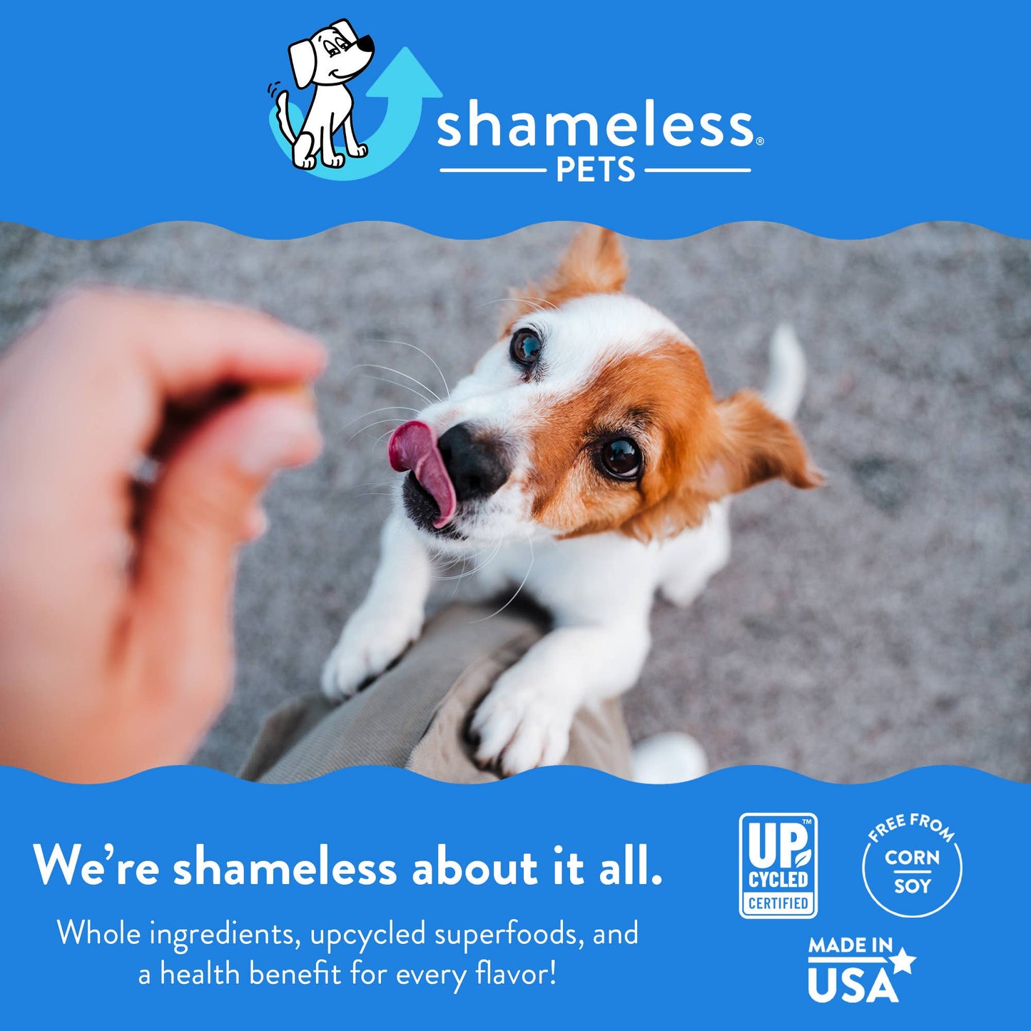 Shameless Pets - Bacon Hits Different Bone Broth Dog Training Treats