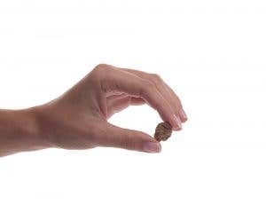 Preen Pets - Duck Meatballs