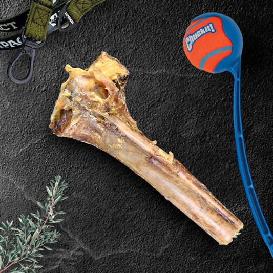 Savannah Pet Food - Ostrich Cane Bone