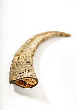 QT Dog, LLC - Gobi Goat Horn
