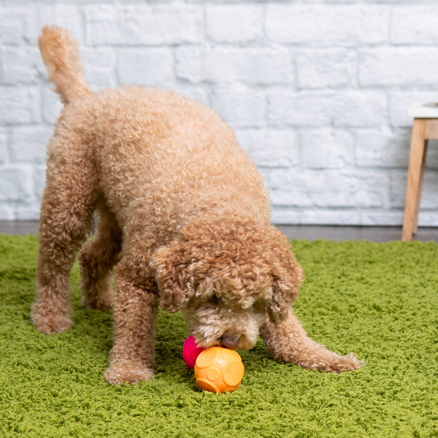 Pet Palette Distribution - GoDog Silent Squeaker Ball Dog Toy 2pk