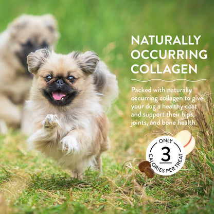 Shameless Pets - Bacon Hits Different Bone Broth Dog Training Treats