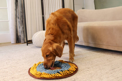 Injoya - Cookie Snuffle Mat - Blue Orange