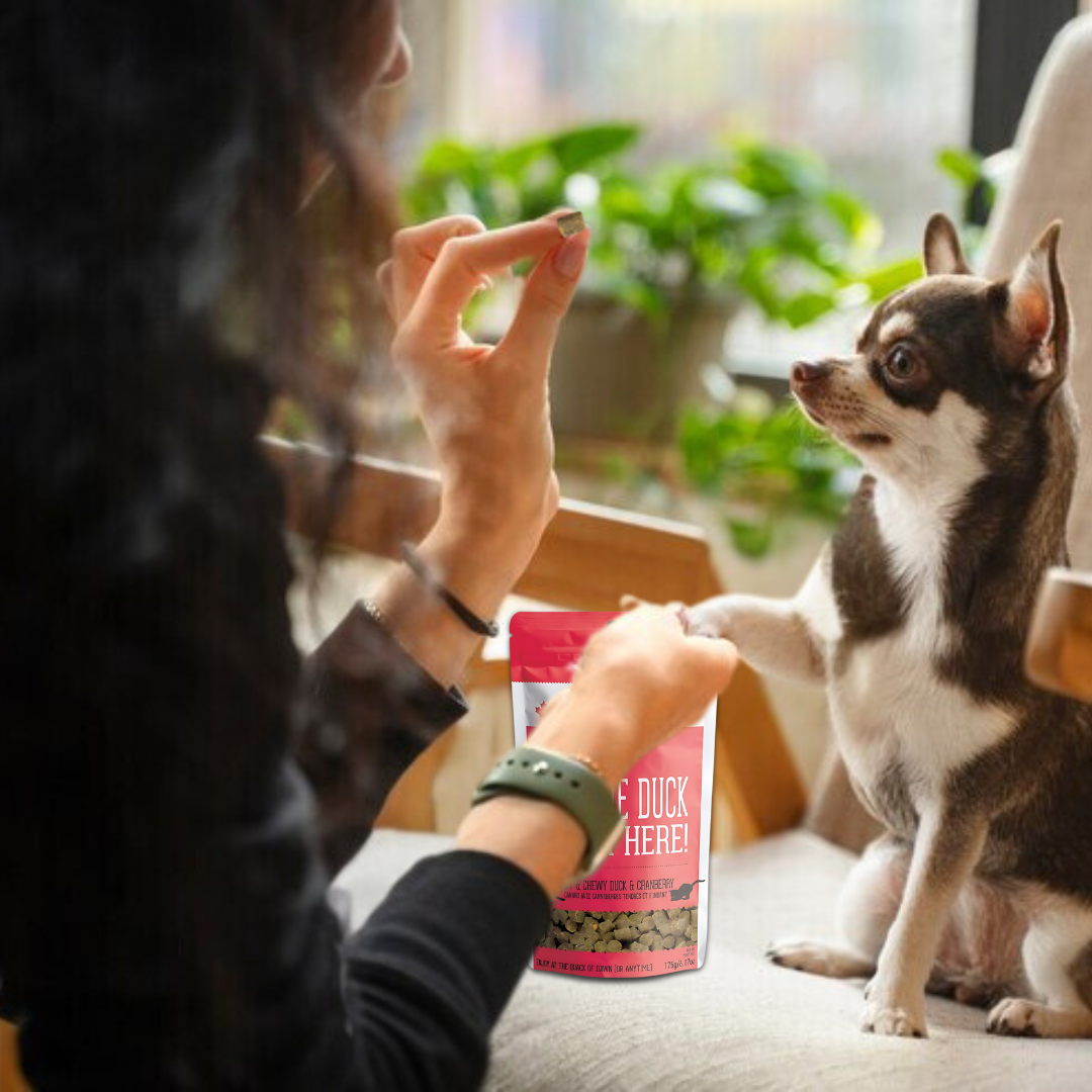 The Granville Island Pet Treatery (USA) - Duck & Cranberry Soft Dog Treats: Chewy & All-Natural