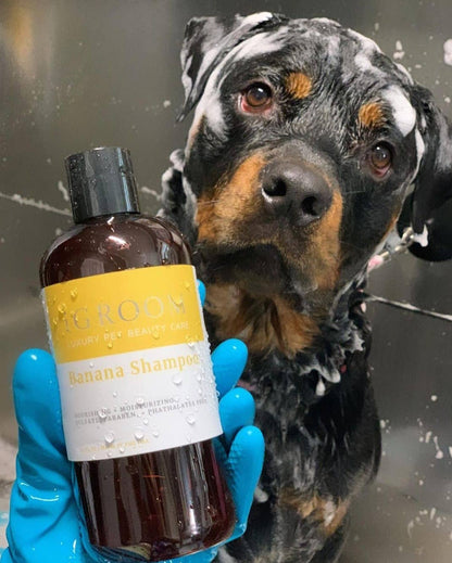 iGroom - Banana Shampoo 16oz