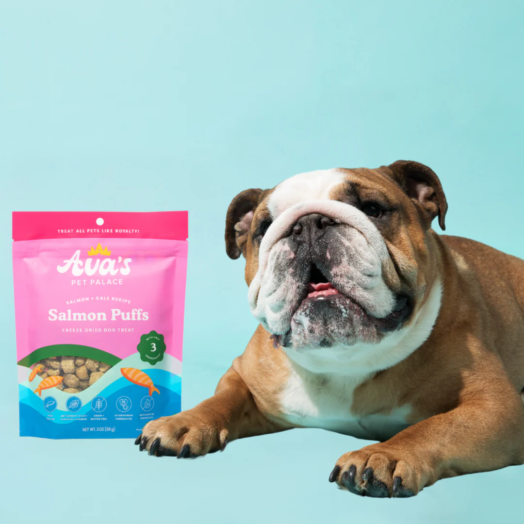 Jojo Modern Pets - Ava's Pet Palace Freeze Dried Dog Treats - Salmon Puffs