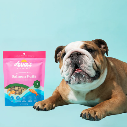 Jojo Modern Pets - Ava's Pet Palace Freeze Dried Dog Treats - Salmon Puffs