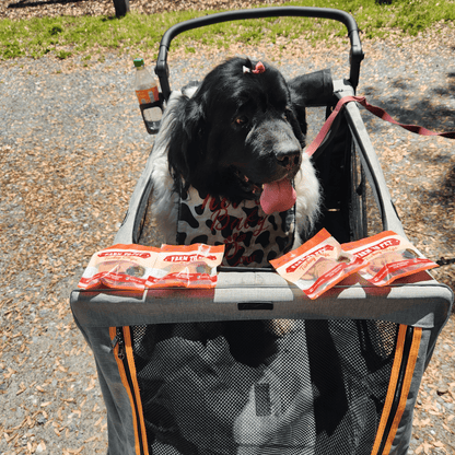 Farm to Pet - Turkey Chips Snack Packs for Dogs