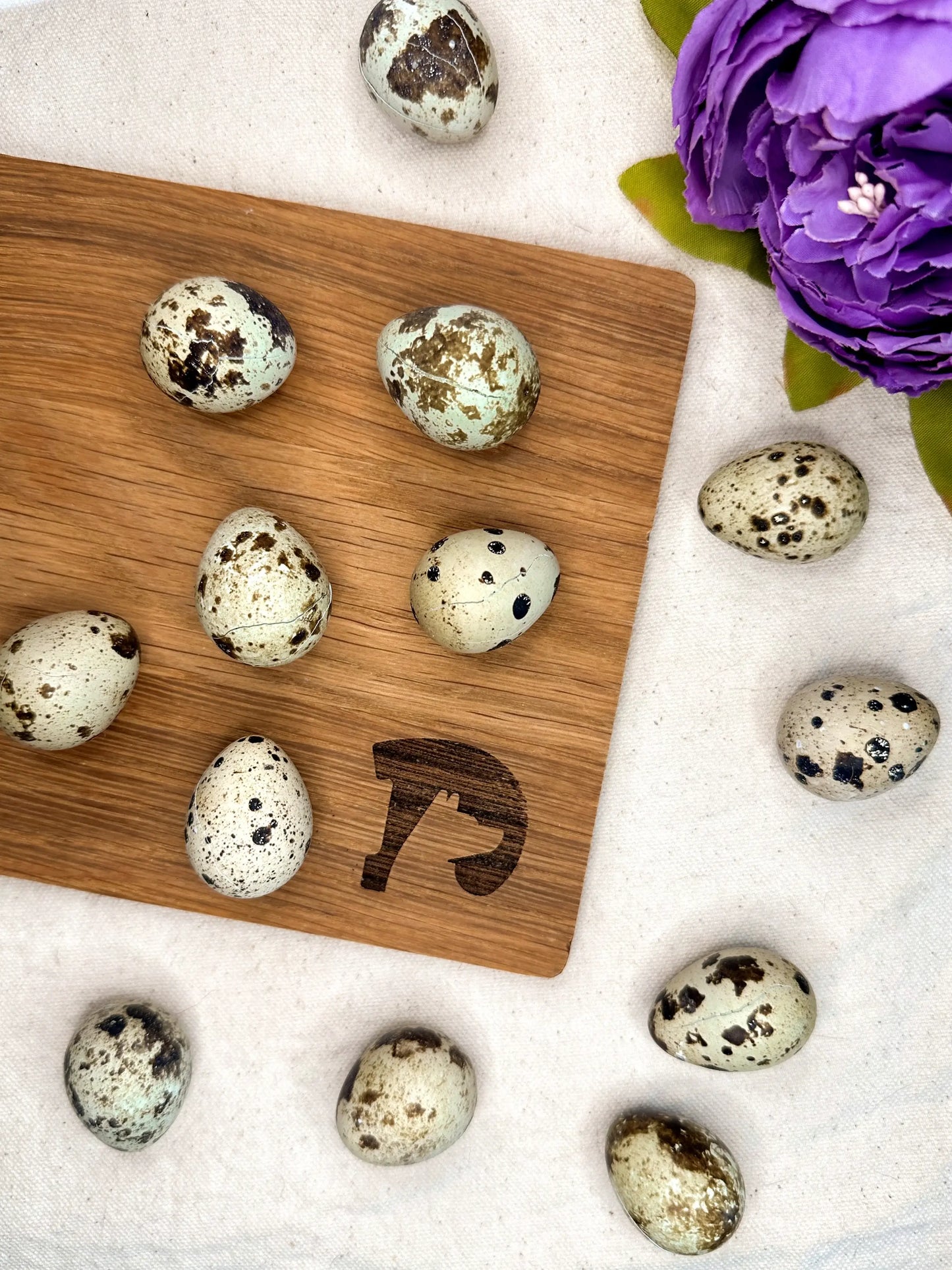 Droolicious - Freeze-dried Quail Eggs