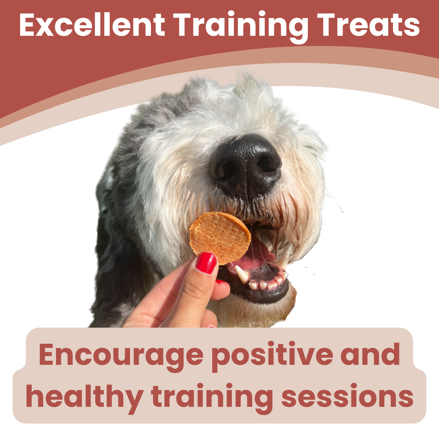 Farm to Pet - Turkey Chips Dog Treats