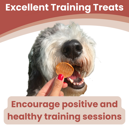 Farm to Pet Healthy Dog Treats - Farm to Pet Chicken Chips Healthy Dog Treats – 2 sizes