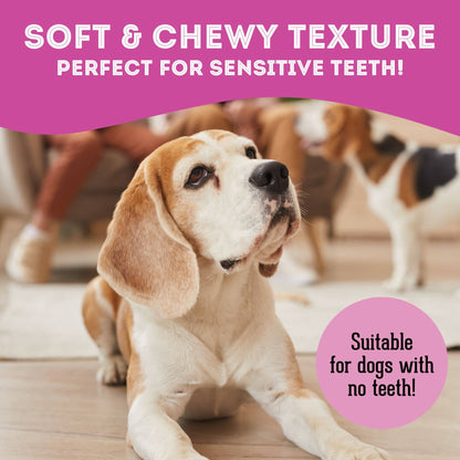 The Granville Island Pet Treatery (USA) - Lamb & Kelp Soft Dog Treats: Chewy & All-Natural