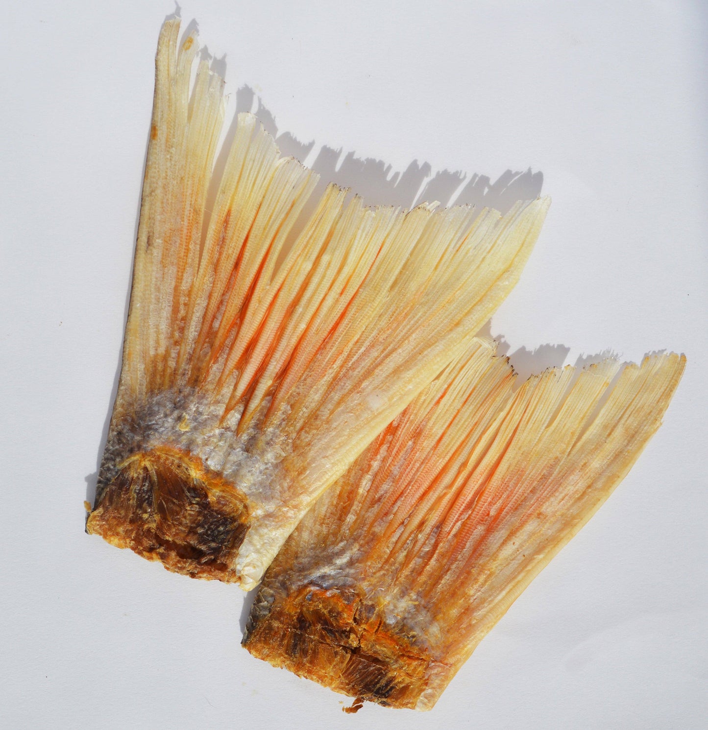 Snack’s Homemade Treats - Dehydrated Fish Tail