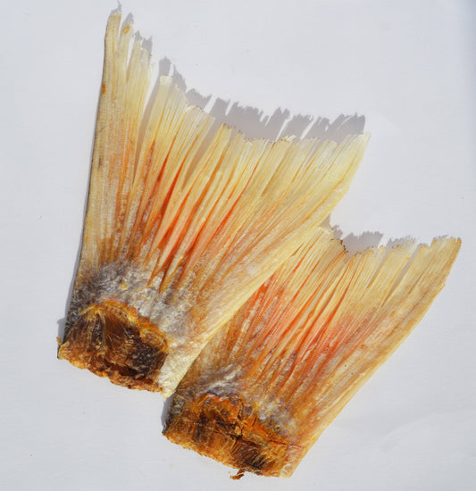 Snack’s Homemade Treats - Dehydrated Fish Tail
