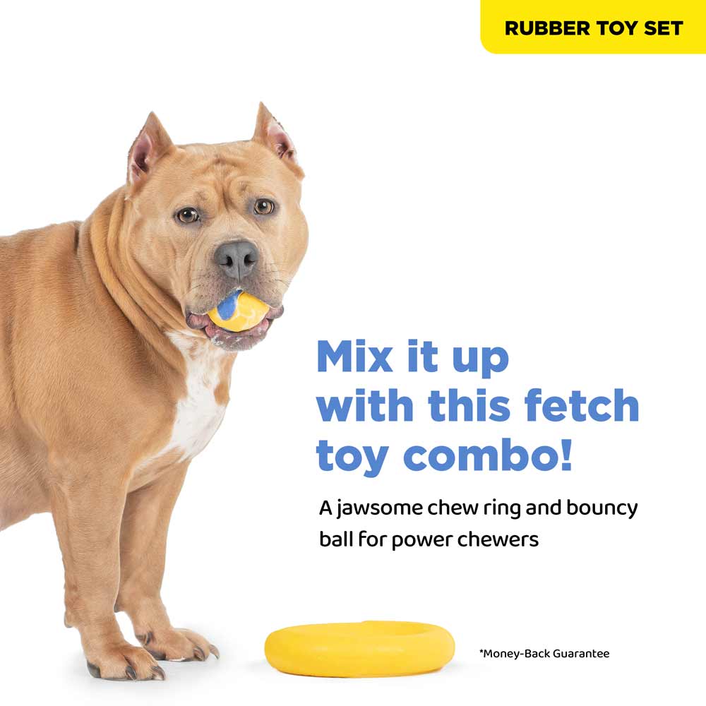 BULLTUG - Power Duo - Tug Ring and Fetch Ball (Dog Toy Set)