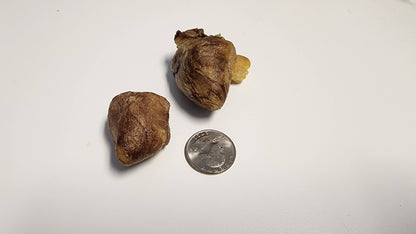 Freeze Dried Dog Treats - Freeze Dried Turkey Hearts