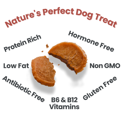 Farm to Pet - Turkey Chips Dog Treats