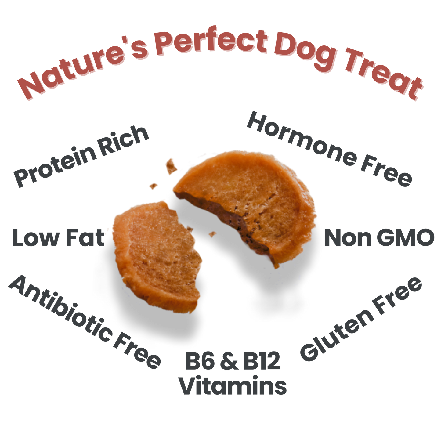 Farm to Pet Healthy Dog Treats - Farm to Pet Chicken Chips Healthy Dog Treats – 2 sizes