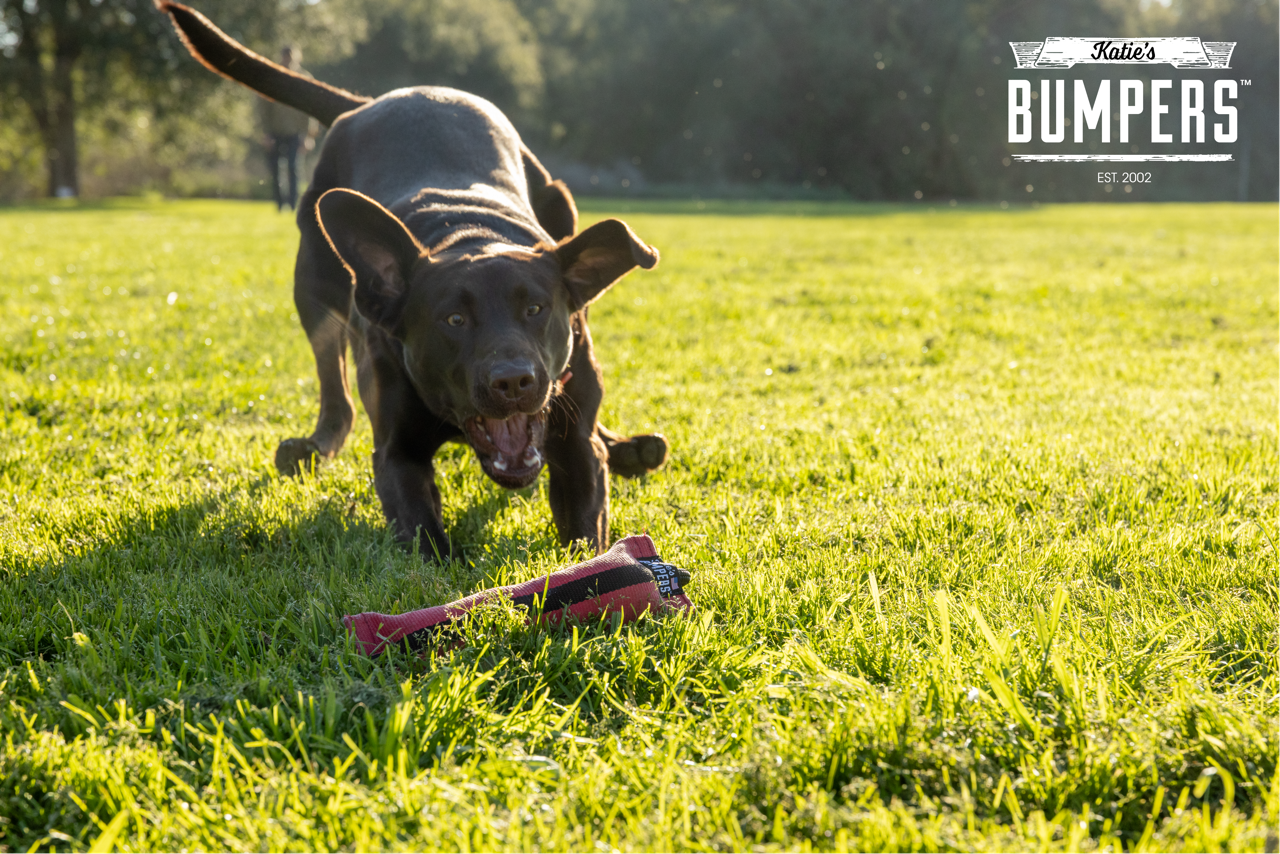 Katie's Bumpers - NEW!! KB Double Tug Rope