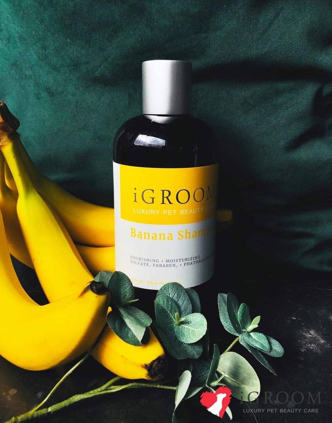 iGroom - Banana Shampoo 16oz