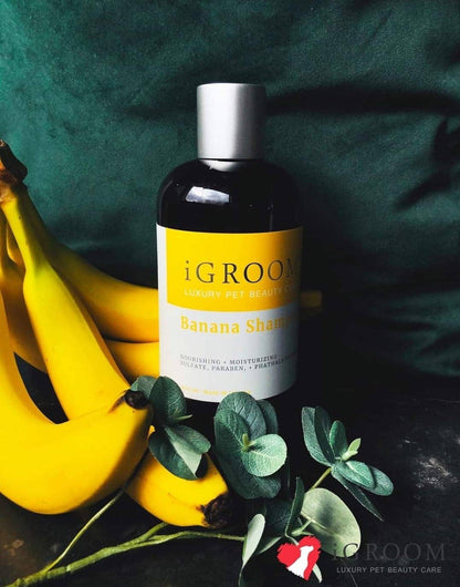 iGroom - Banana Shampoo 16oz