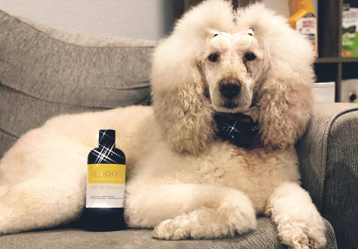 iGroom - Banana Shampoo 16oz