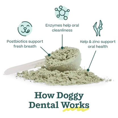 Woof - Pupsicle Mix- Doggy Dental