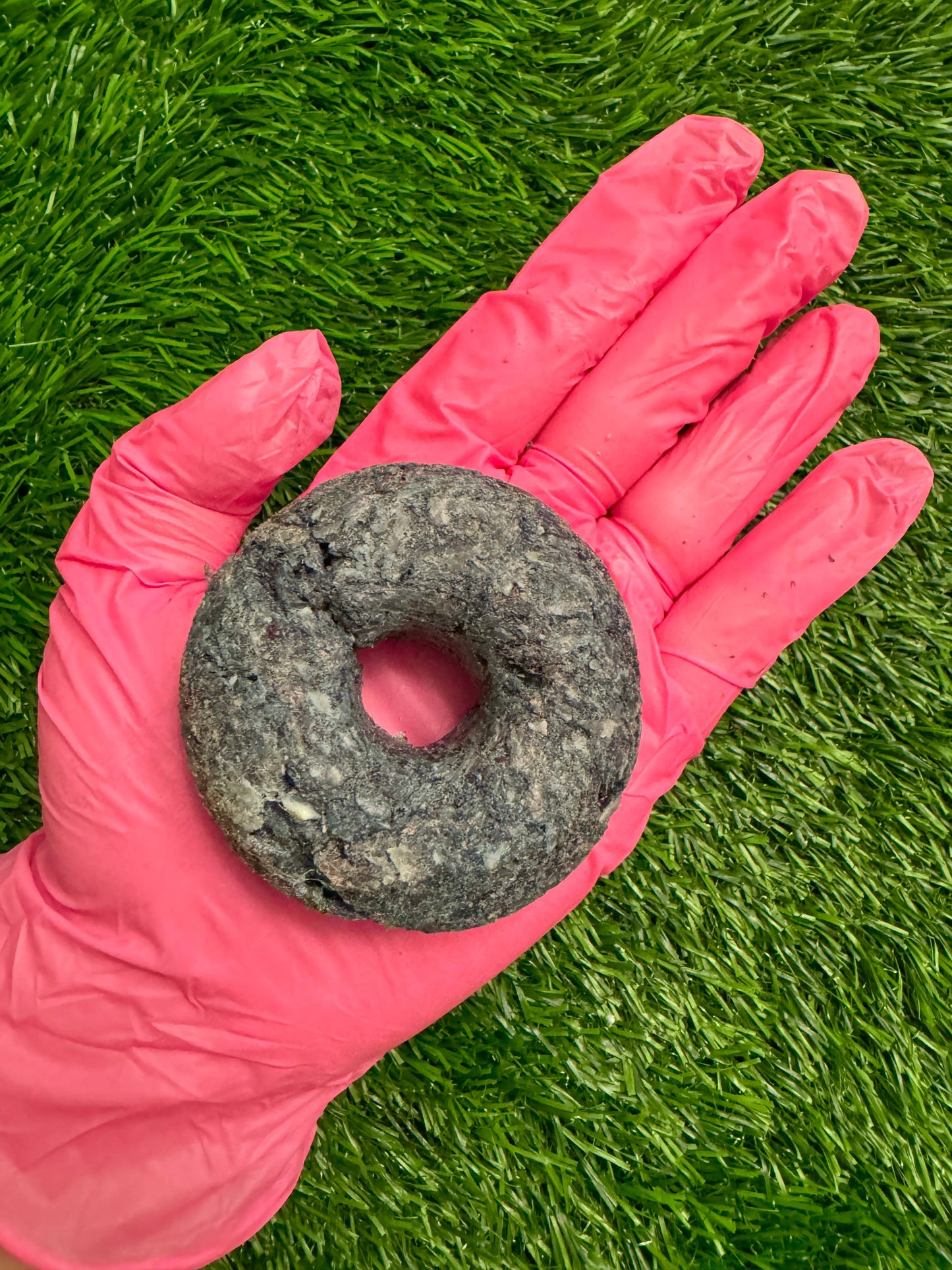 Golden Nibbles - Duck & Spirulina Donut - Freeze-Dried Raw