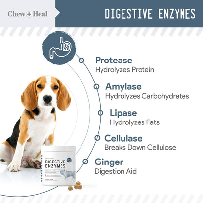 Chew + Heal - Digestive Enzymes with Probiotics