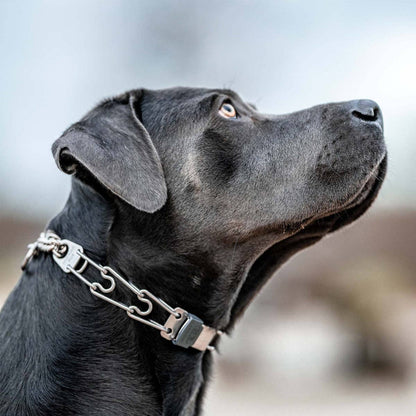 Dogline - Herm Sprenger - ClicLock Quick Release Buckle - Stainless Steel