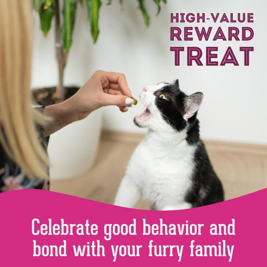 The Granville Island Pet Treatery (USA) - Wild Salmon Freeze-Dried Pet Treats: High-Protein & Natural