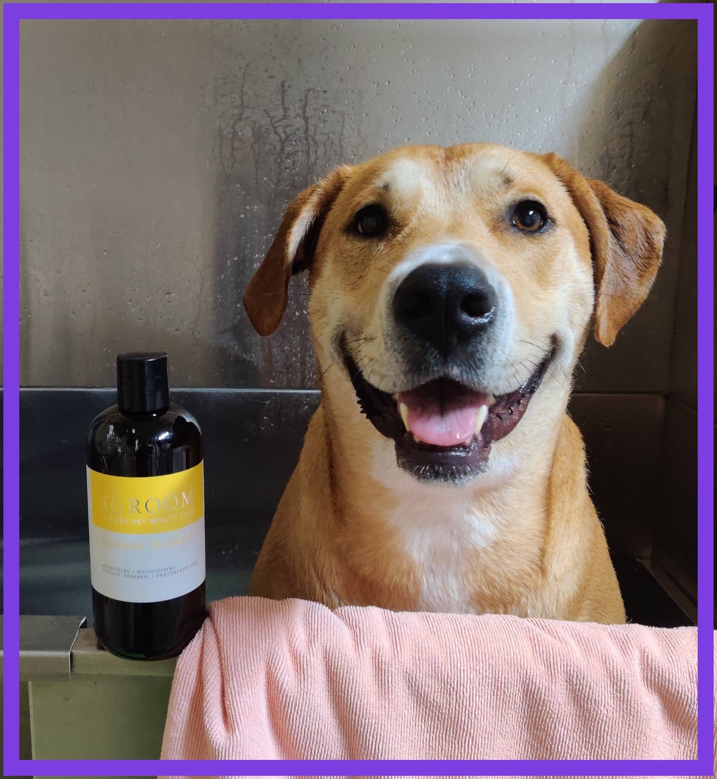 iGroom - Banana Shampoo 16oz