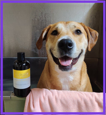 iGroom - Banana Shampoo 16oz