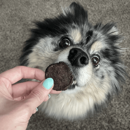 Farm to Pet - Beef Chips Dog Treats