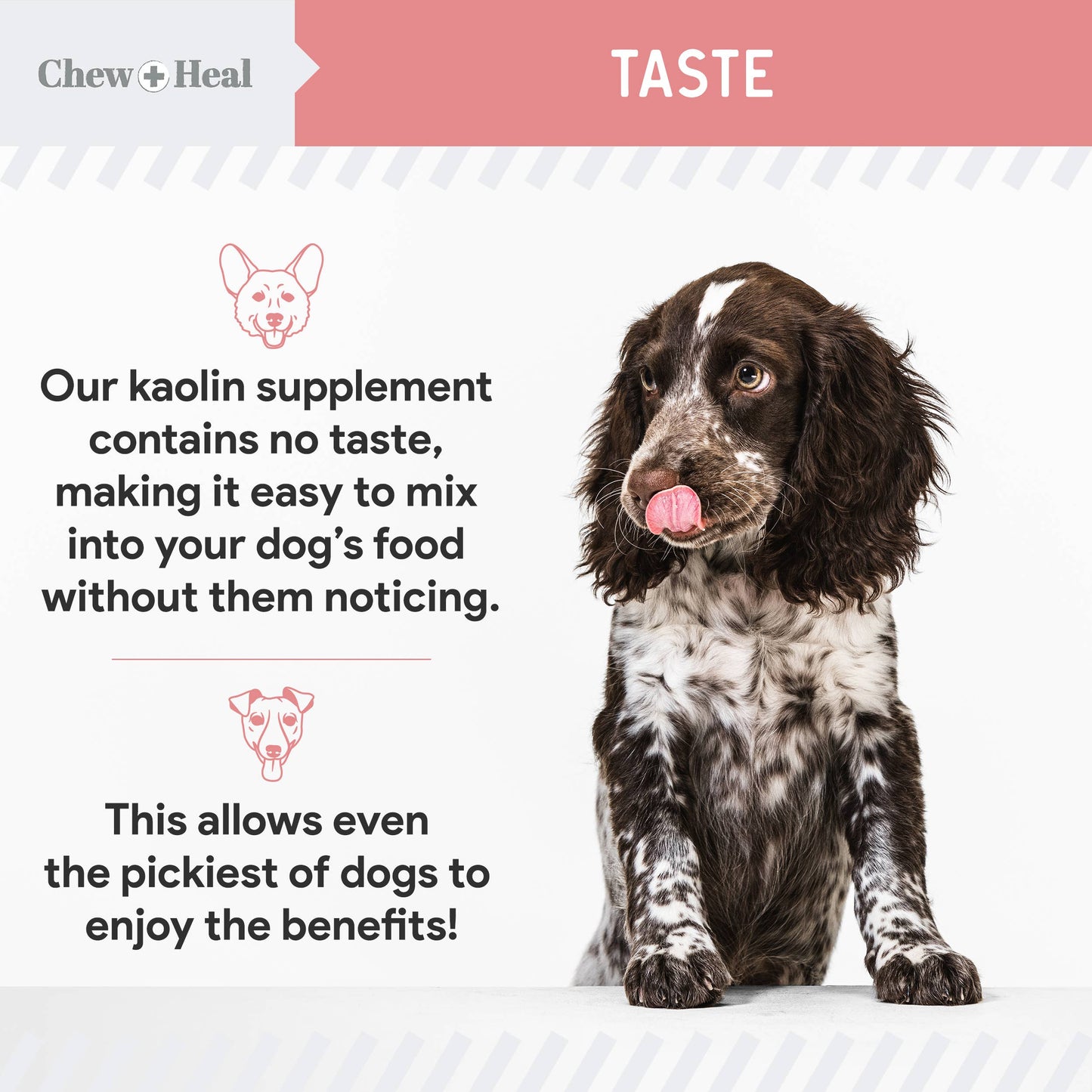 Chew + Heal - Stop the Diarrhea, Anti Diarrhea for Dogs