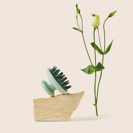 Dandylion - Scrub Brush | Deshed + Lather