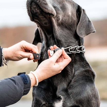 Dogline - Herm Sprenger - ClicLock Quick Release Buckle - Stainless Steel