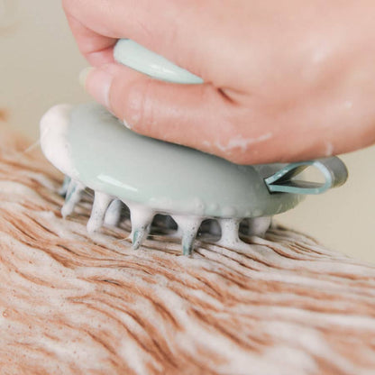 Dandylion - Scrub Brush | Deshed + Lather