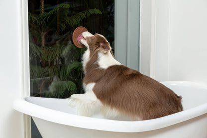 Injoya - Cookie Snuffle Mat - Blue Orange