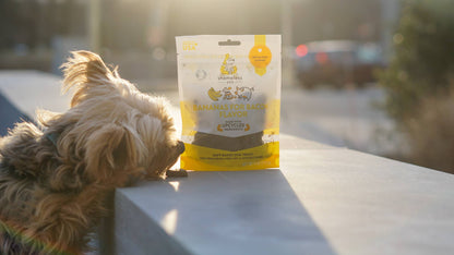 Shameless Pets - Bananas For Bacon Soft Baked Dog Treats