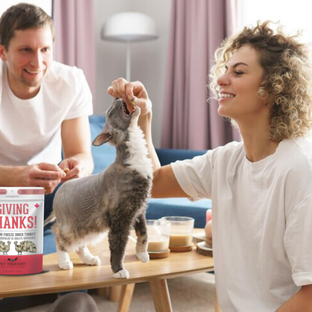 The Granville Island Pet Treatery (USA) - Turkey Freeze-Dried Pet Treats: High-Protein & Nutritious