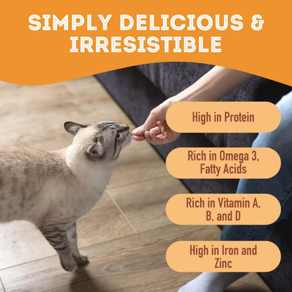 The Granville Island Pet Treatery (USA) - Pork & Cheese Soft Dog Treats: For Puppies and Seniors