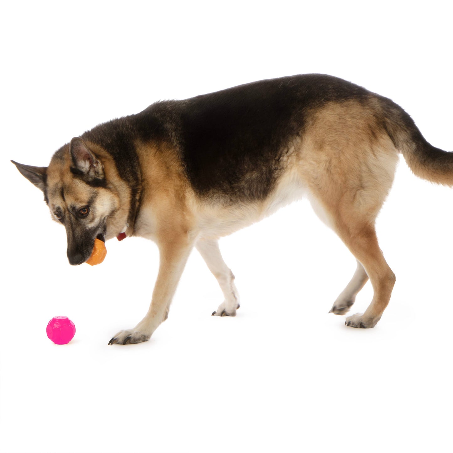 Pet Palette Distribution - GoDog Silent Squeaker Ball Dog Toy 2pk